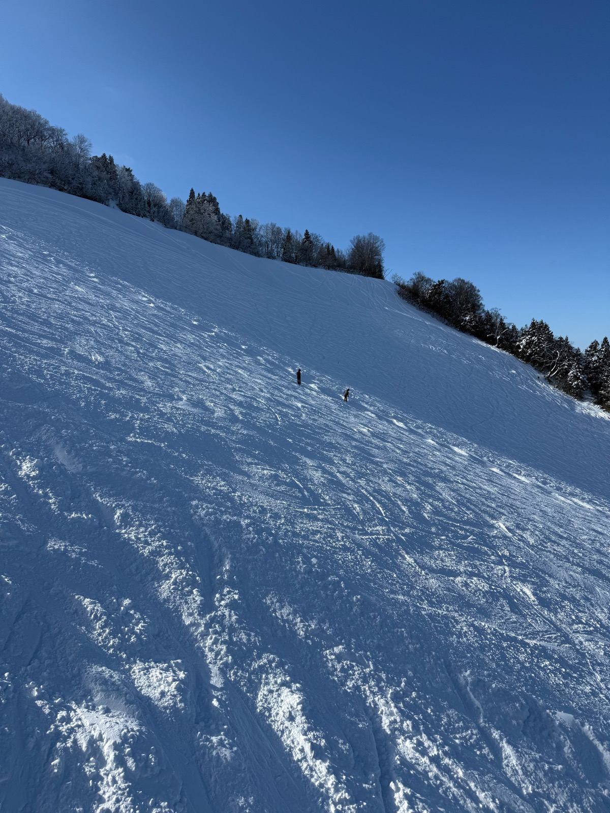 立山山麓極楽坂スキー場