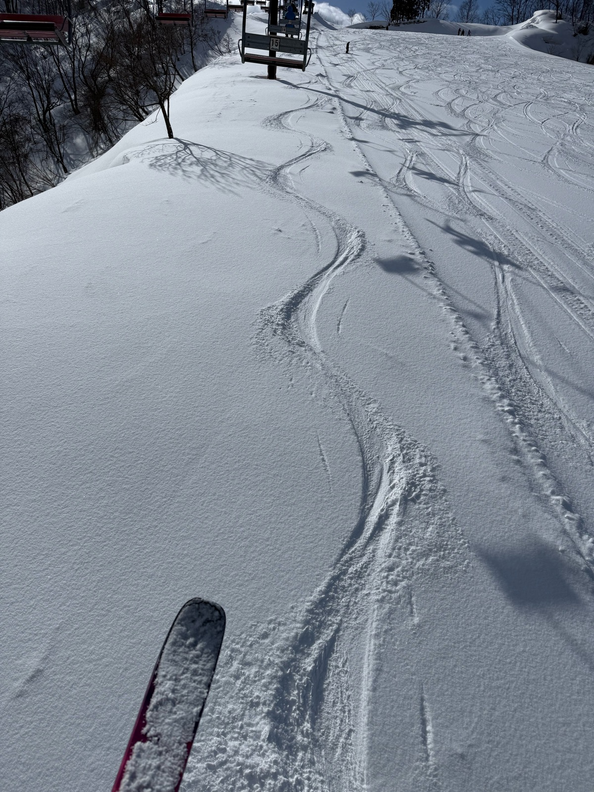 白山一里野温泉スキー場