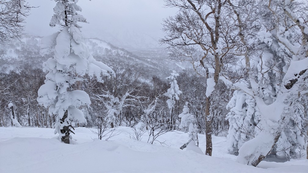 キロロスノーワールド