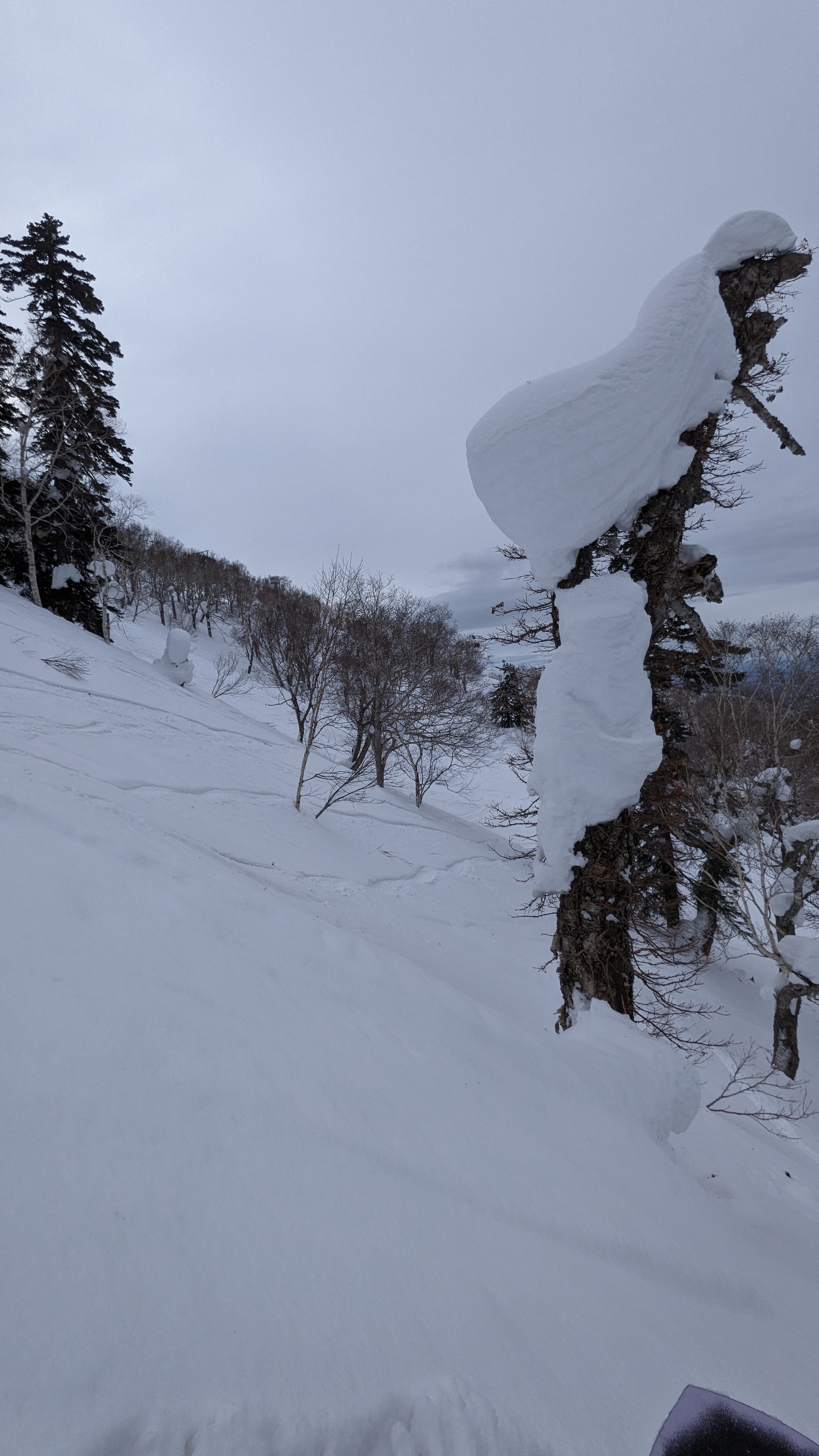 キロロスノーワールド