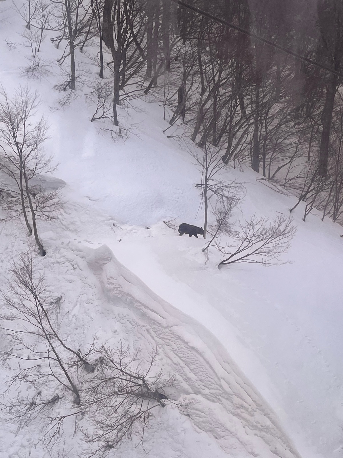 谷川岳天神平スキー場