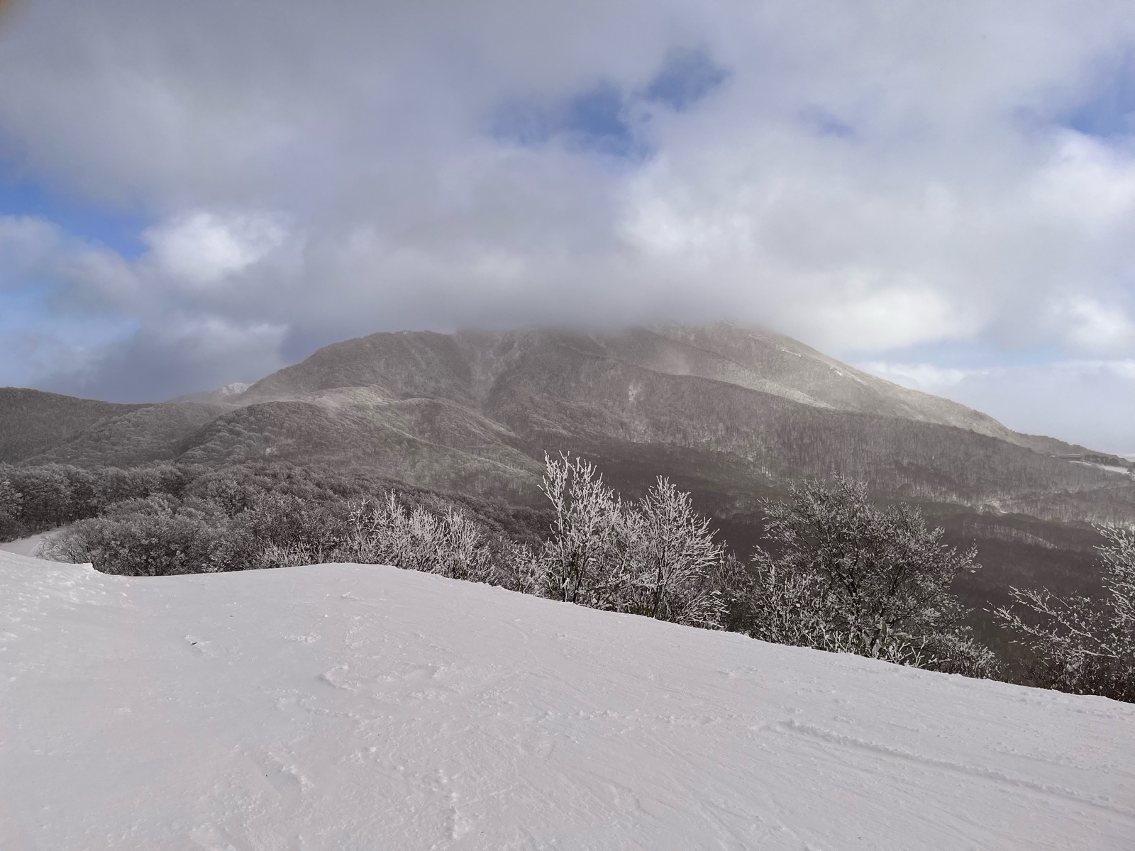 星野リゾート ネコマ マウンテン（南エリア）