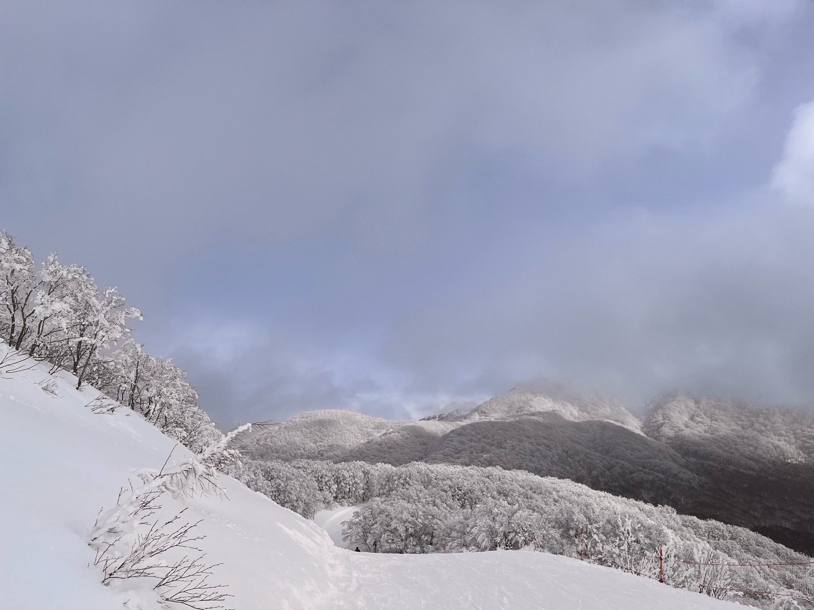 星野リゾート ネコマ マウンテン（南エリア）