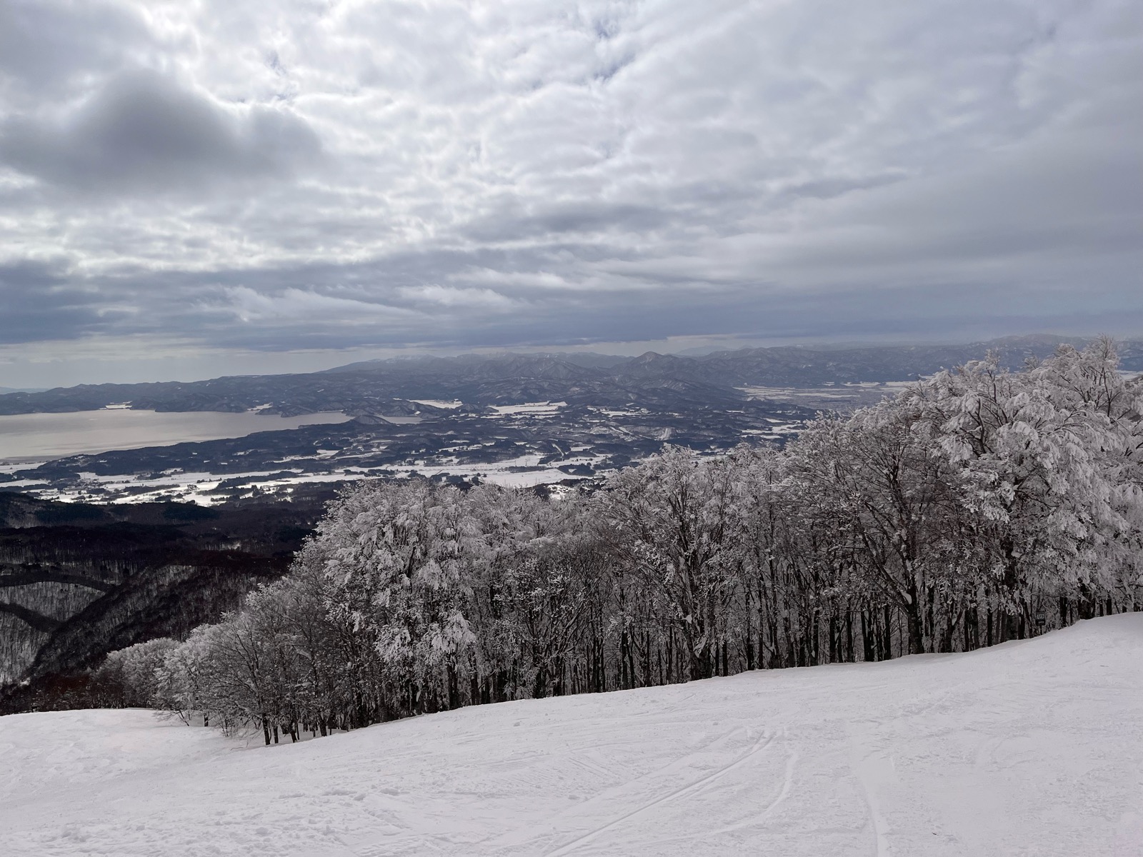 星野リゾート ネコマ マウンテン（南エリア）