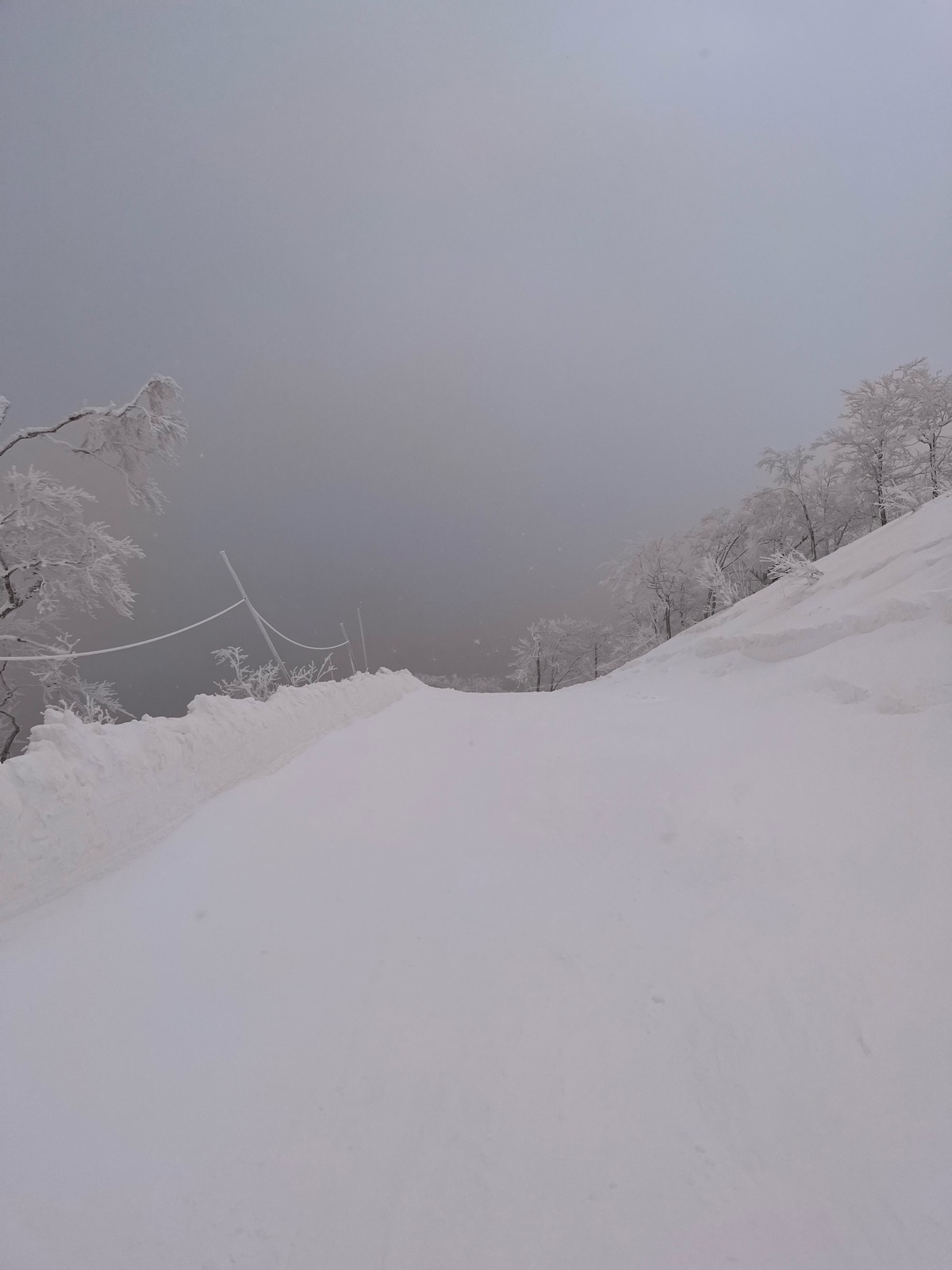 星野リゾート ネコマ マウンテン（南エリア）