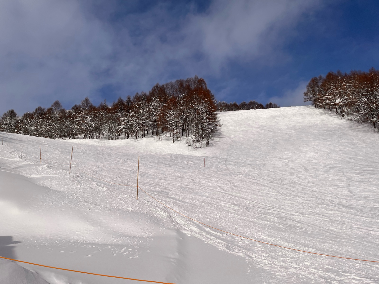 星野リゾート ネコマ マウンテン（南エリア）