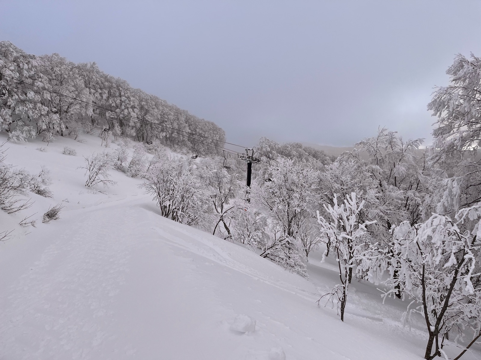 星野リゾート ネコマ マウンテン（南エリア）
