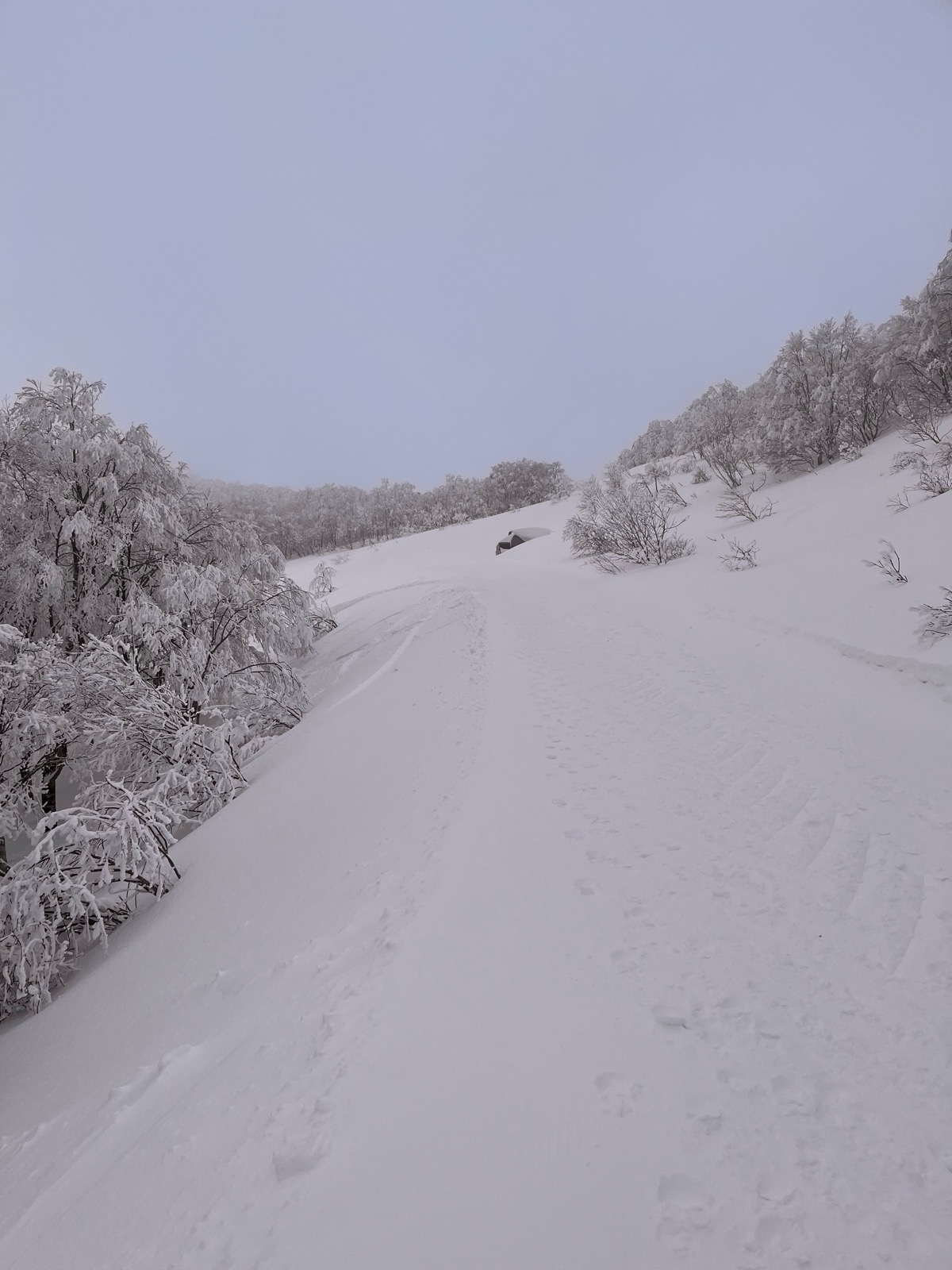 星野リゾート ネコマ マウンテン（南エリア）