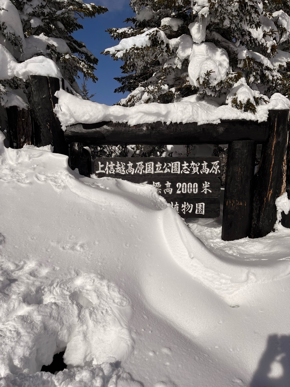 志賀高原 ジャイアント、西館山スキー場