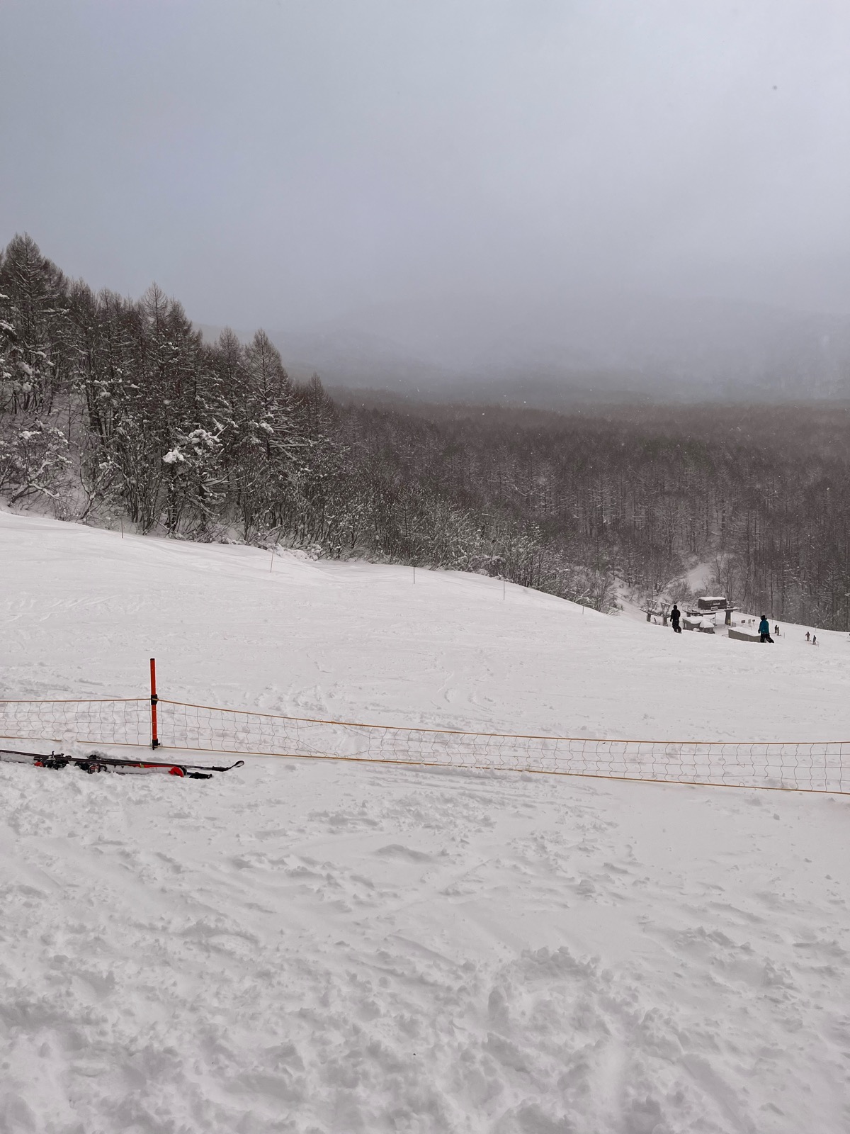 星野リゾート ネコマ マウンテン（南エリア）