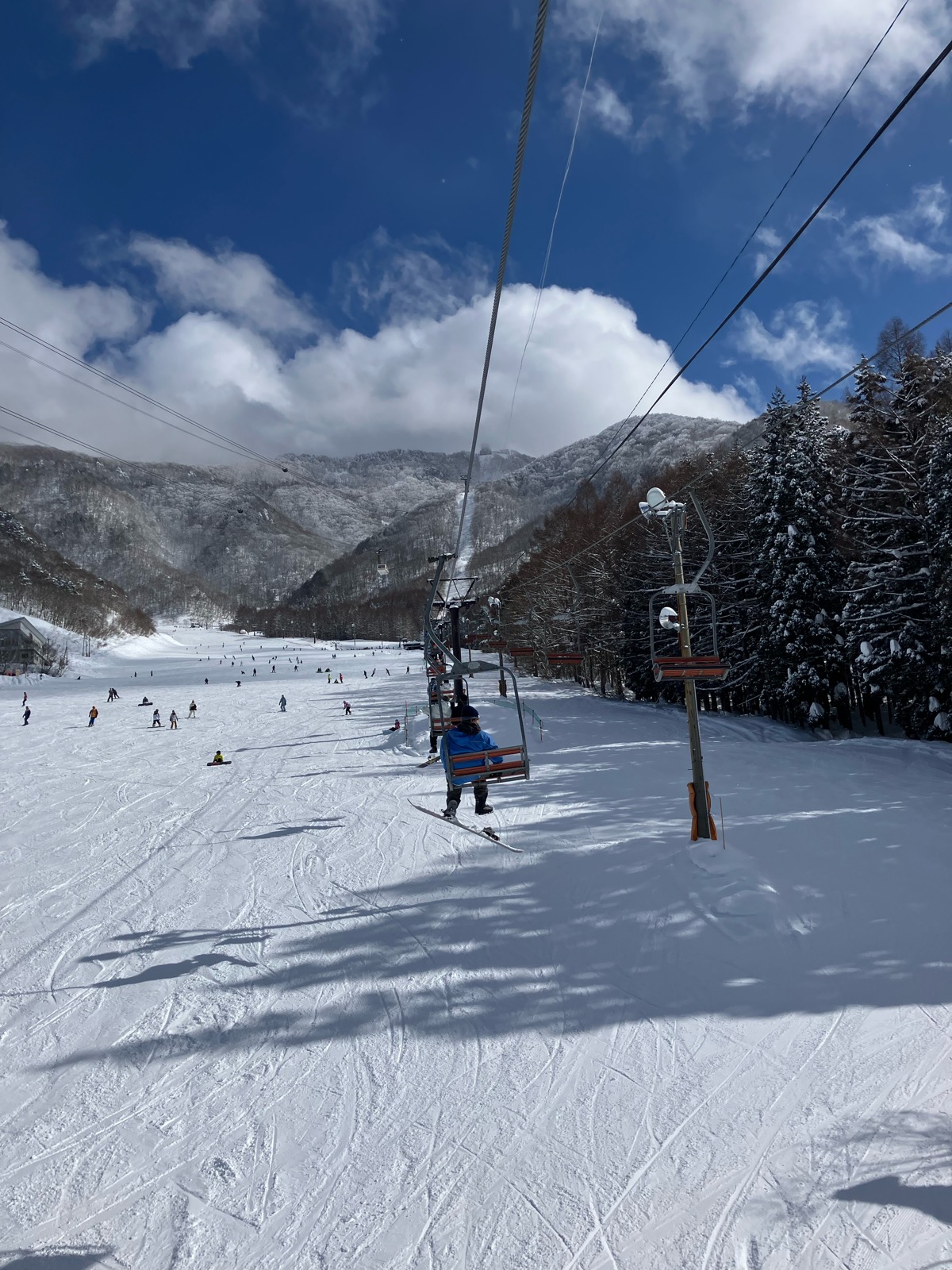 ニュー・グリーンピア津南スキー場