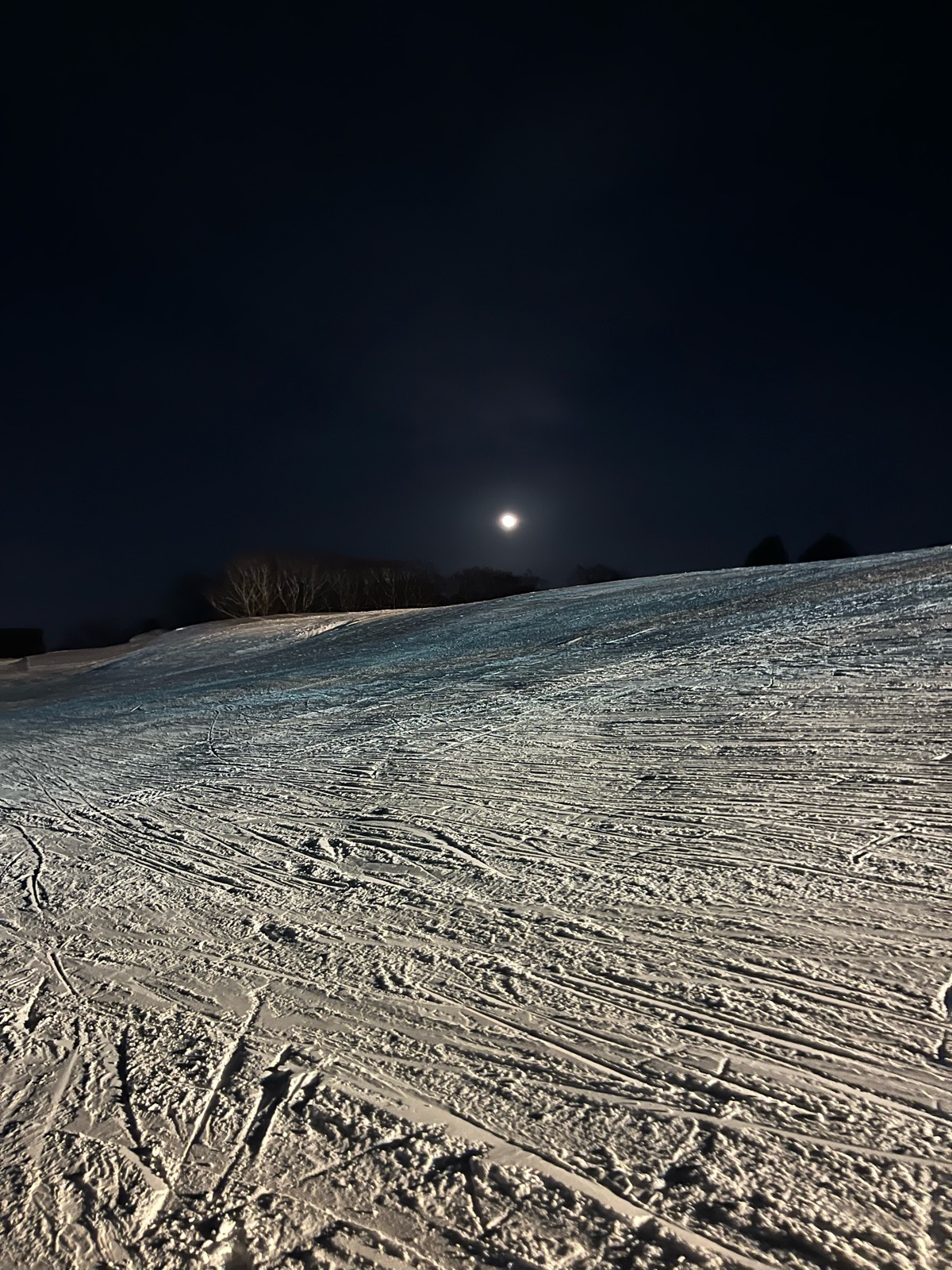 ダイナスティスキーリゾート