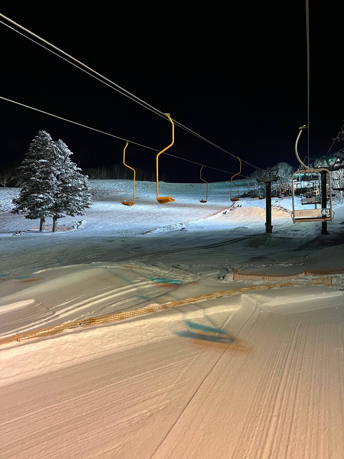 ダイナスティスキーリゾート