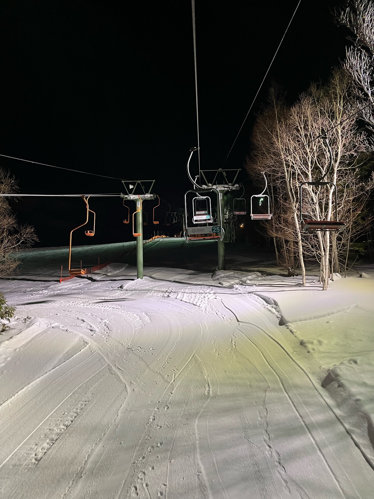 ダイナスティスキーリゾート