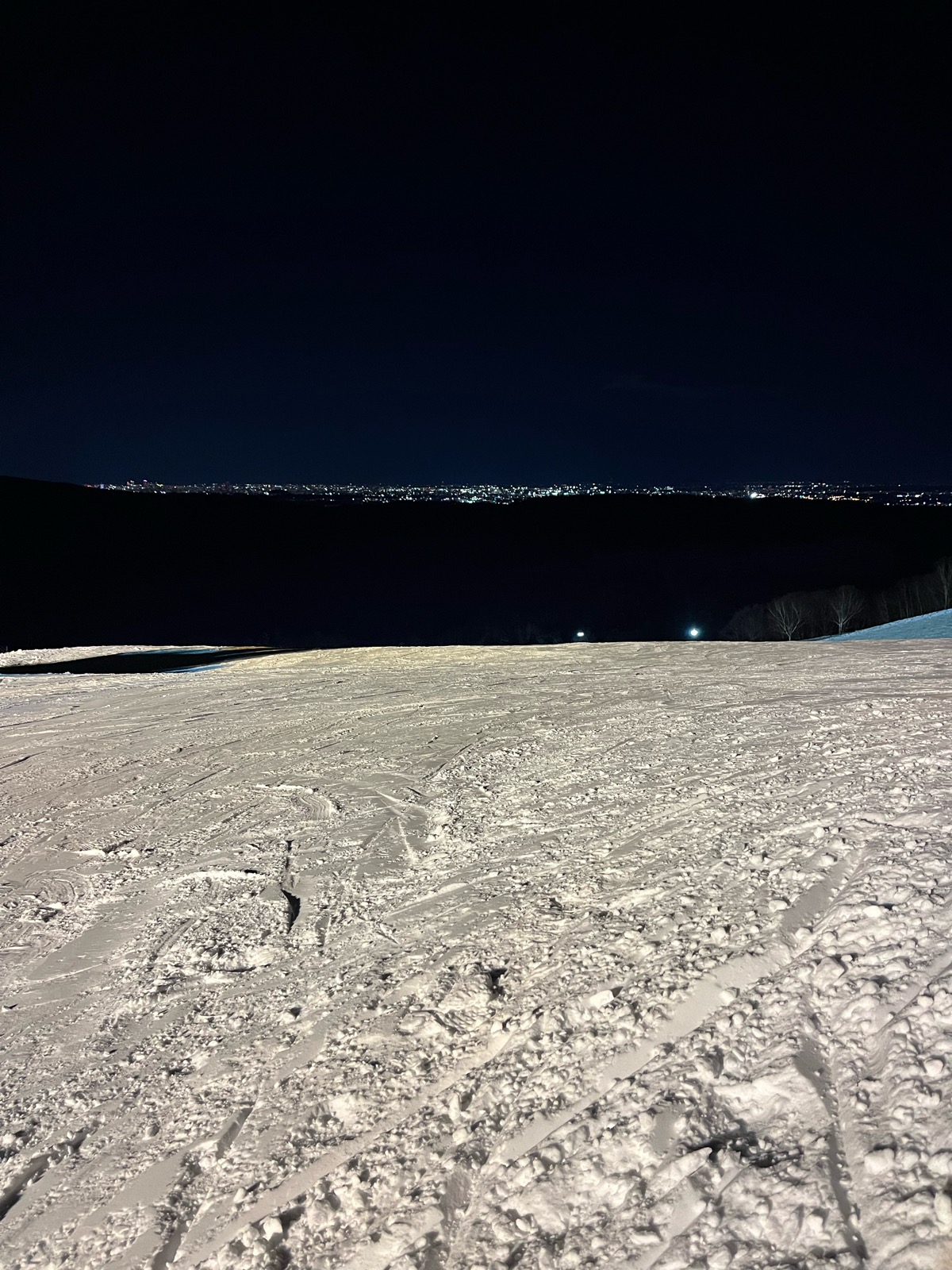 ダイナスティスキーリゾート