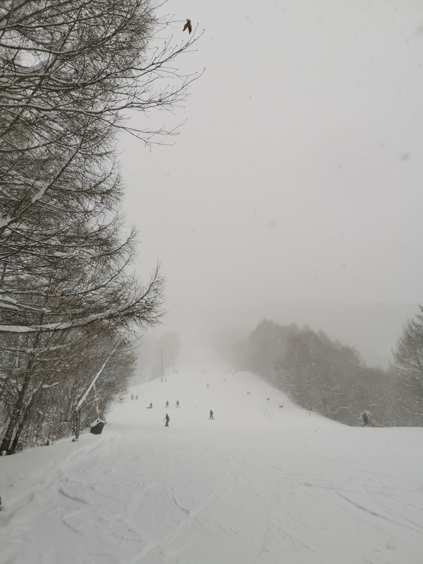 会津高原たかつえ