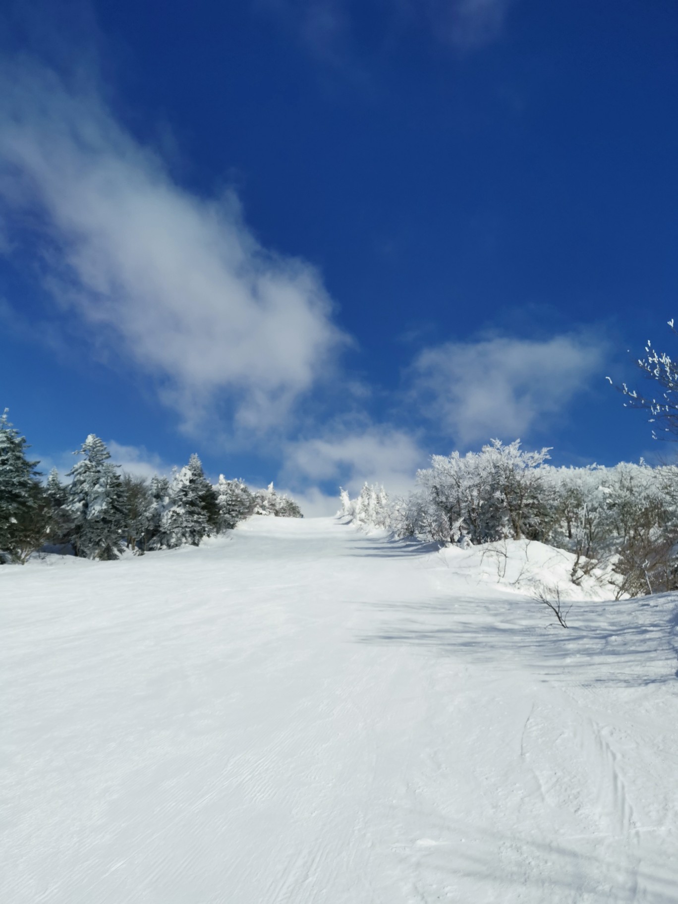 蔵王ライザワールドスキー場