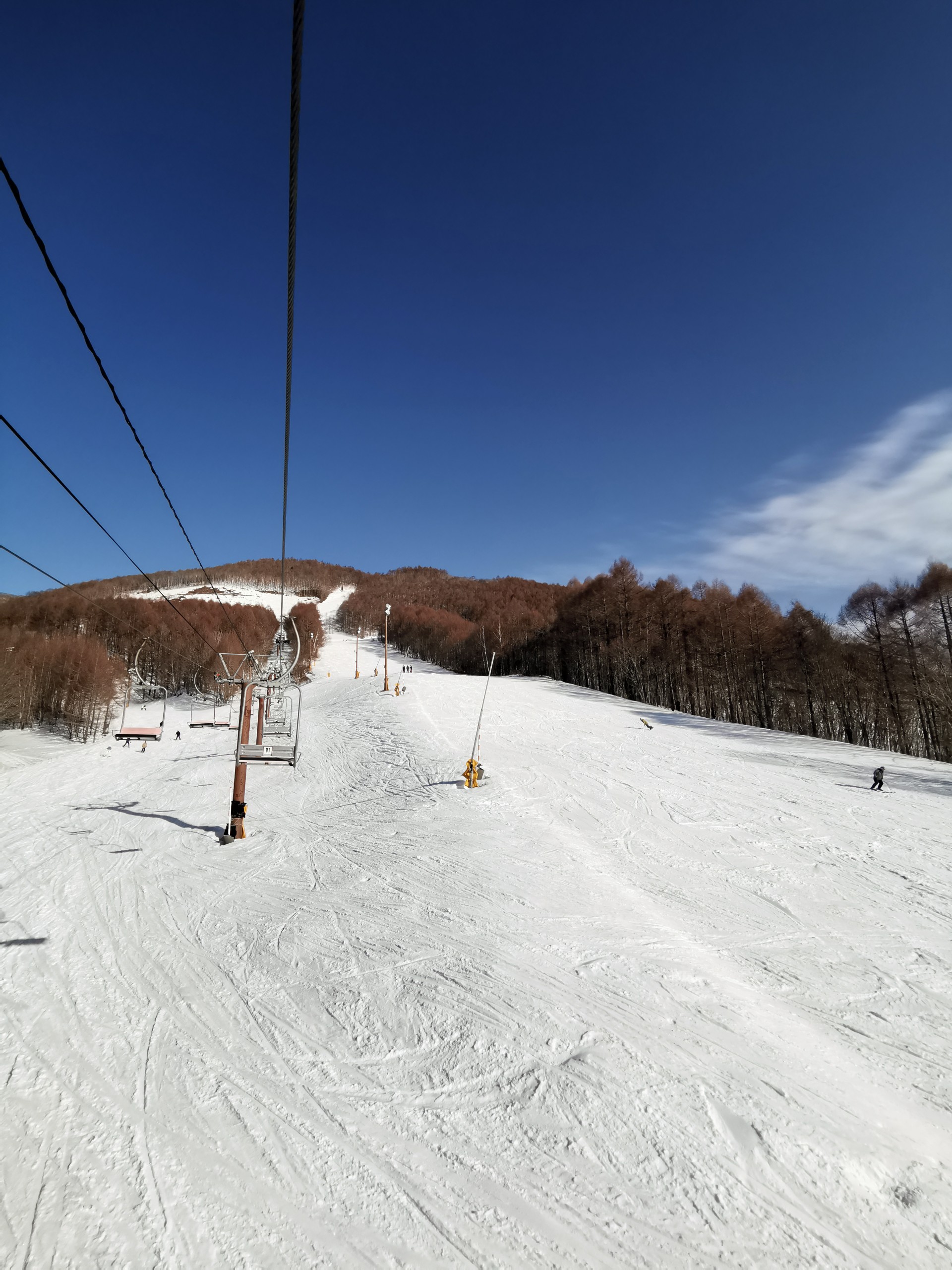 会津高原たかつえ