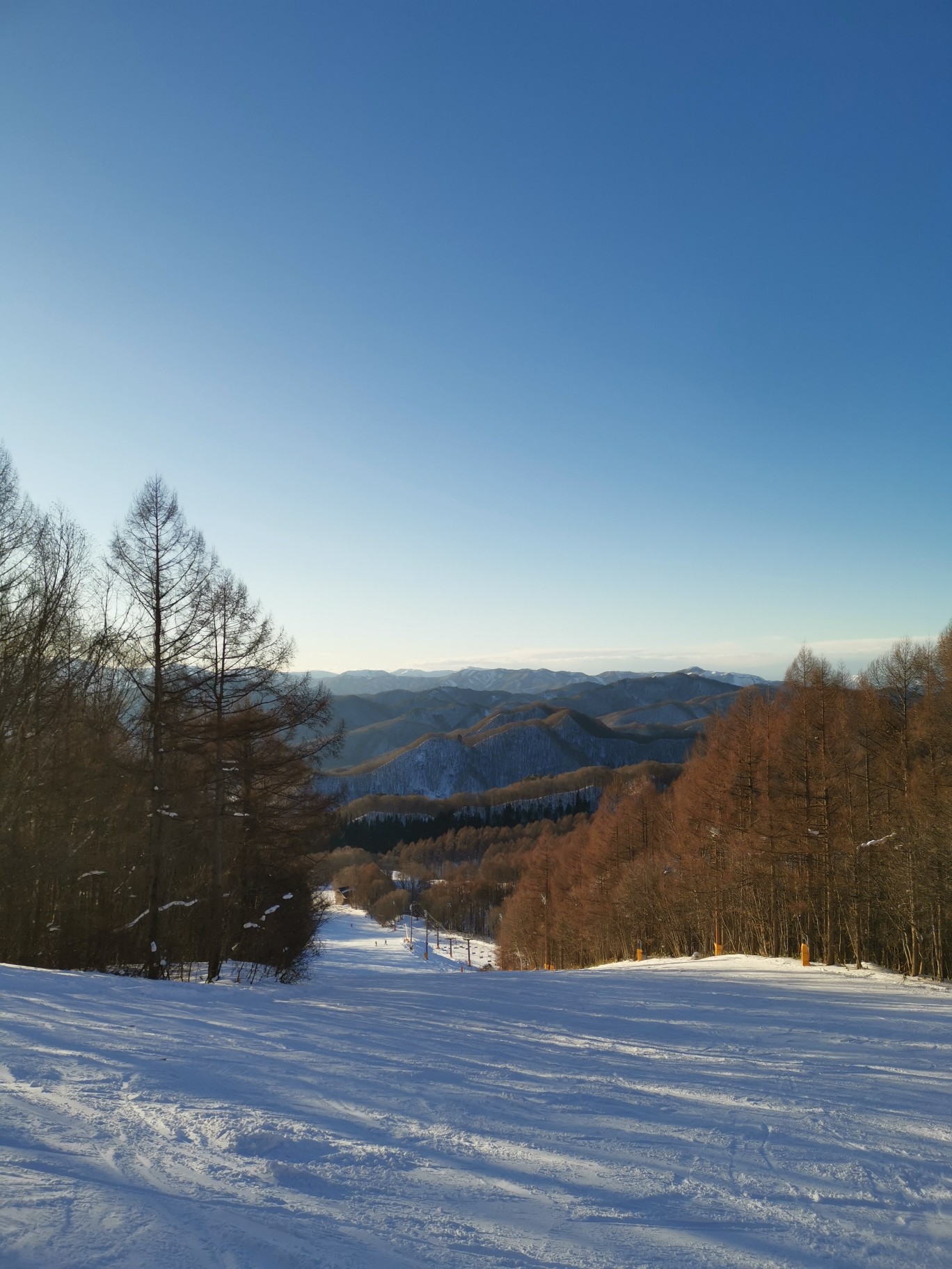 会津高原たかつえ