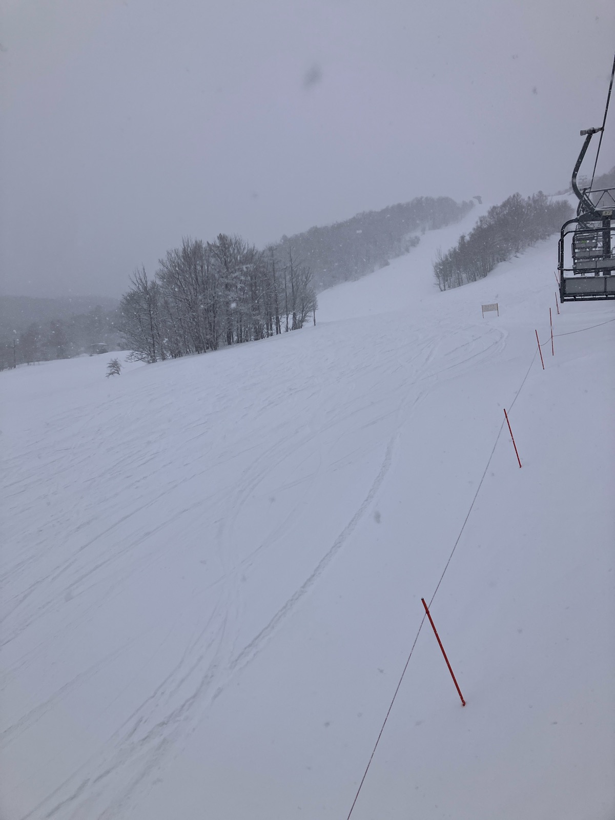 サッポロテイネ