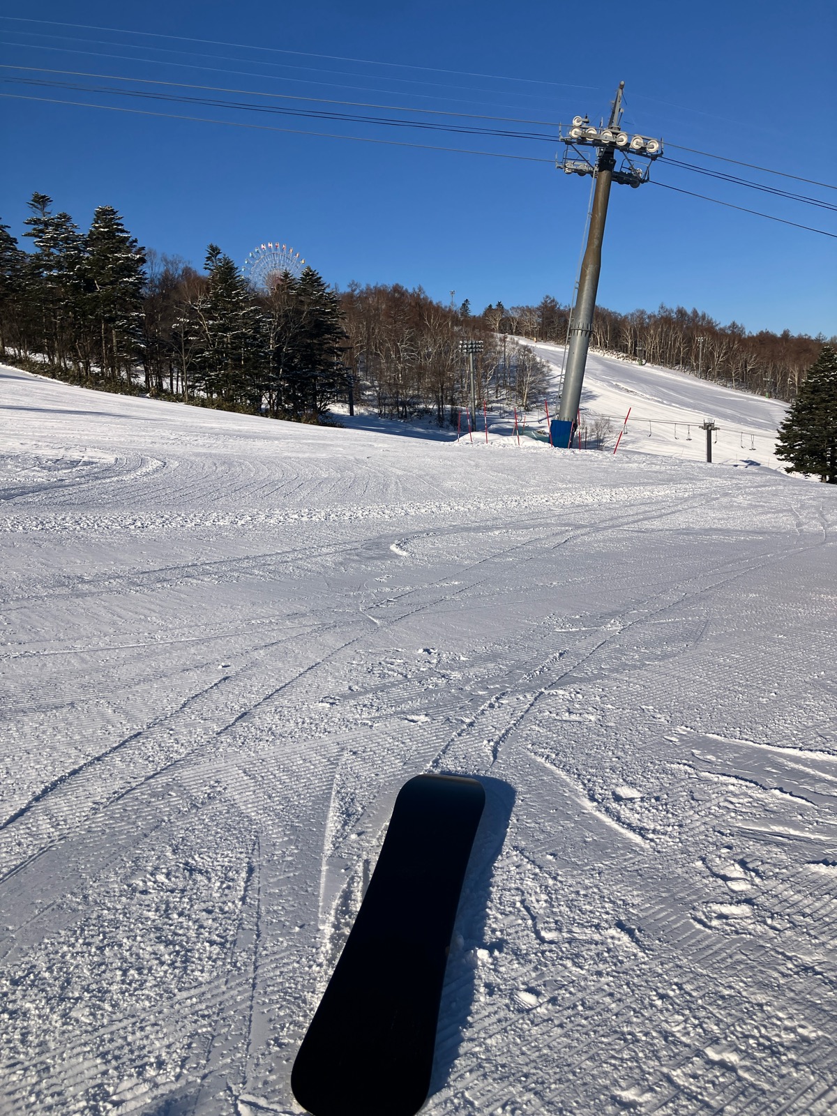 サッポロテイネ