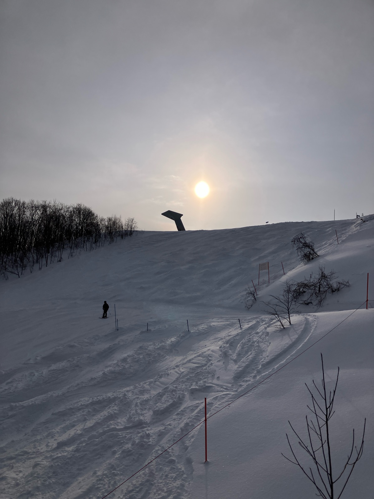 サッポロテイネ