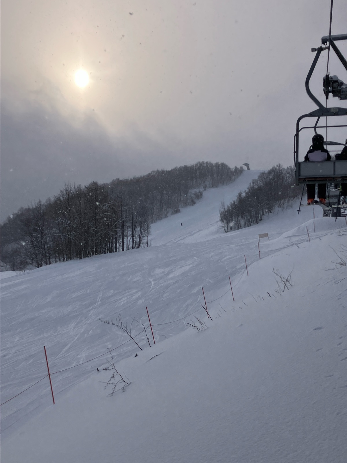 サッポロテイネ