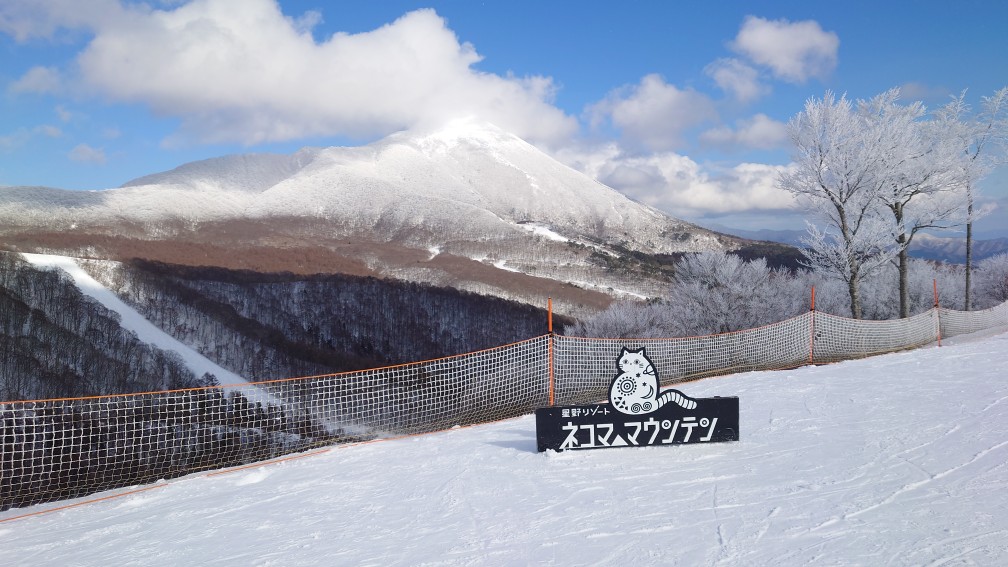 星野リゾート ネコマ マウンテン（南エリア）