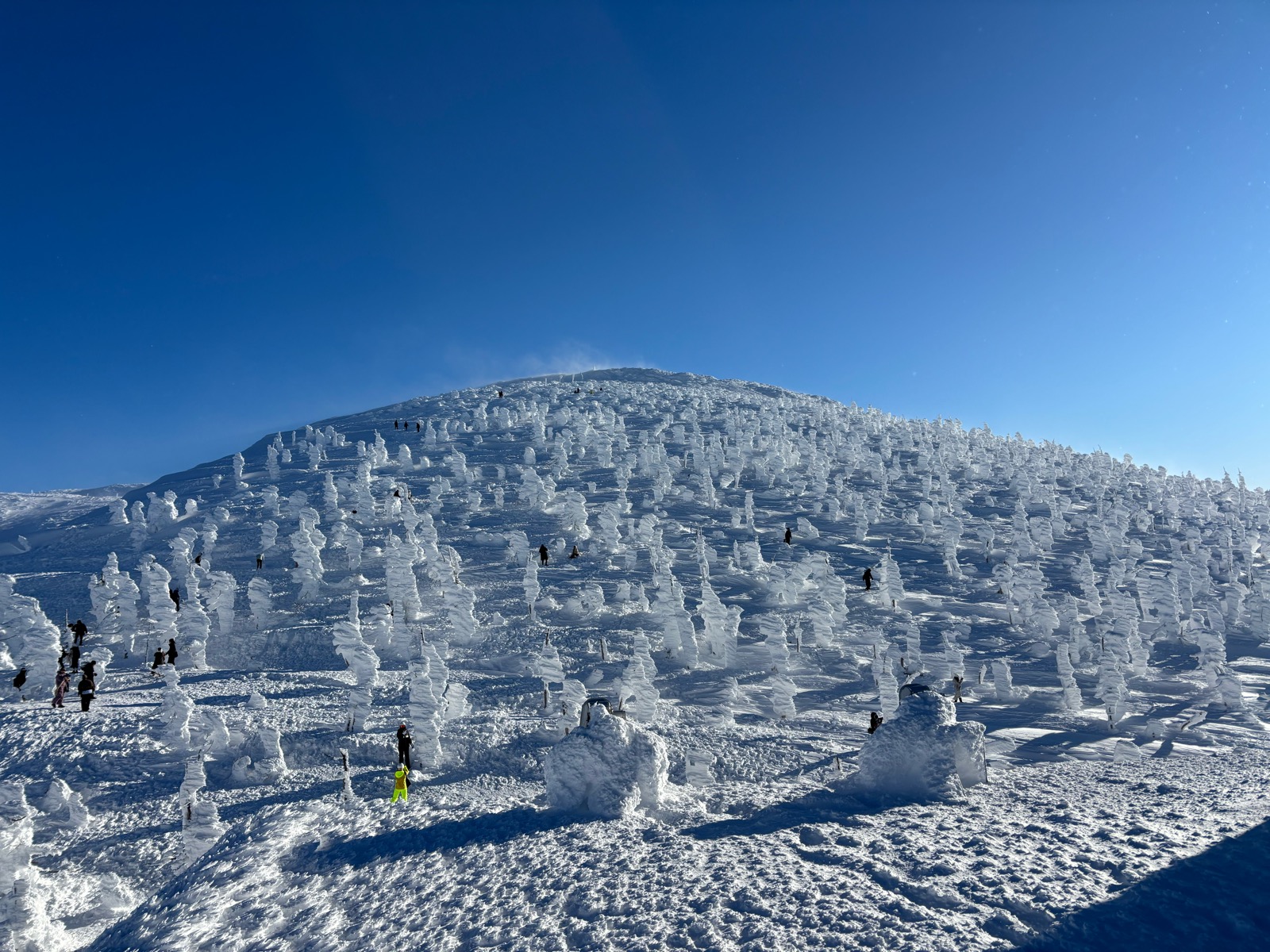 蔵王温泉スキー場
