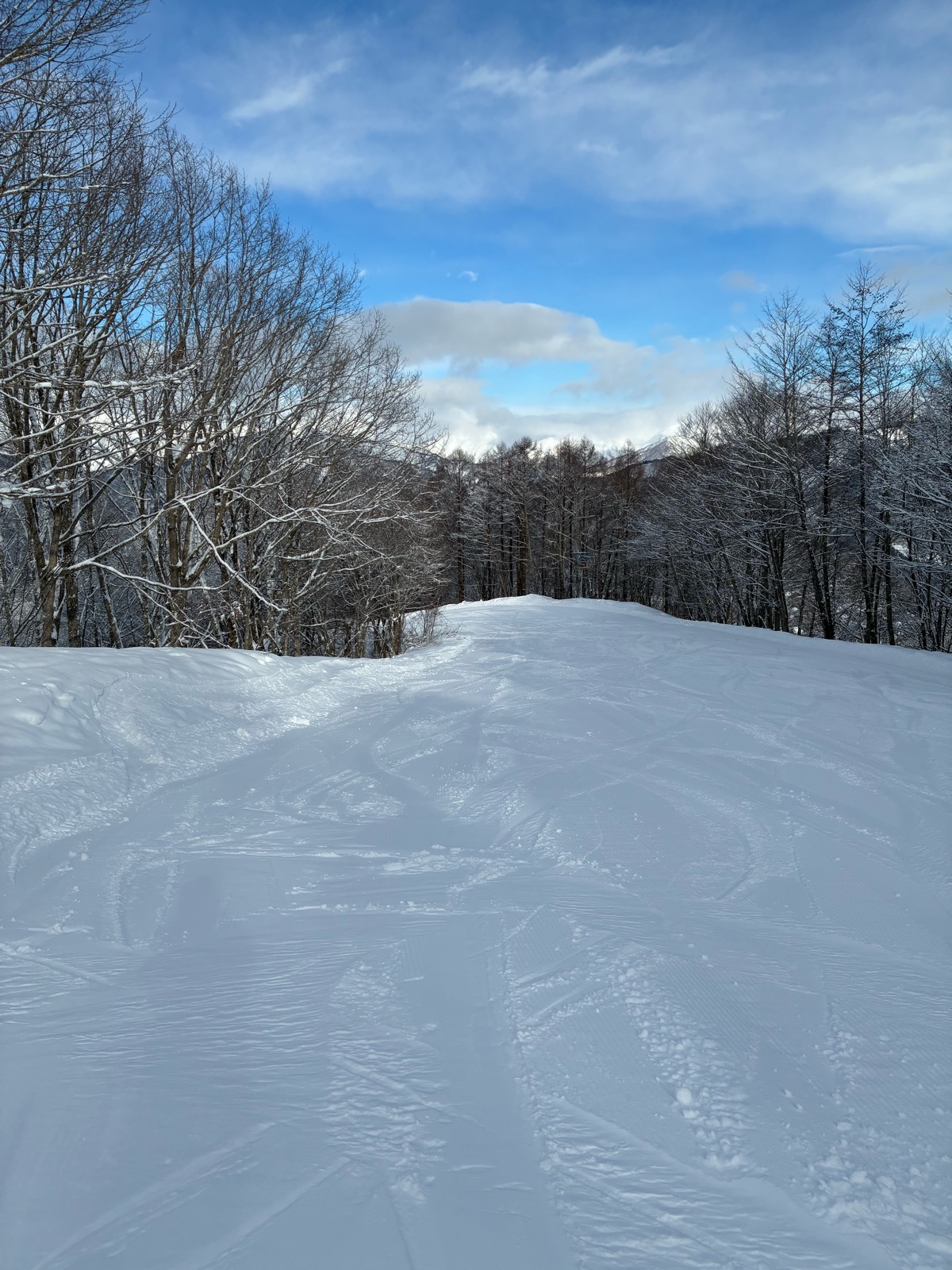 水上高原スキーリゾート
