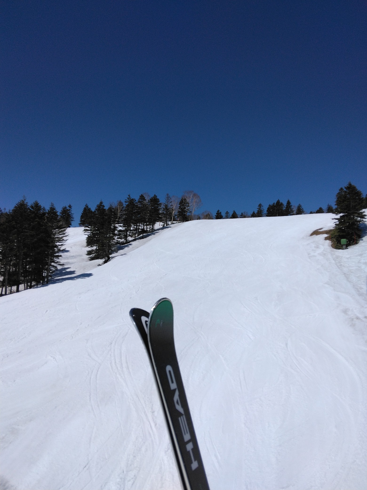 春スキー スノボー かぐらスキー場、富良野スキー場 、志賀高原焼額山スキー場 全日 リフト１日券 ゲレンデ・アクティビティ | 志賀高原 焼額山スキー場