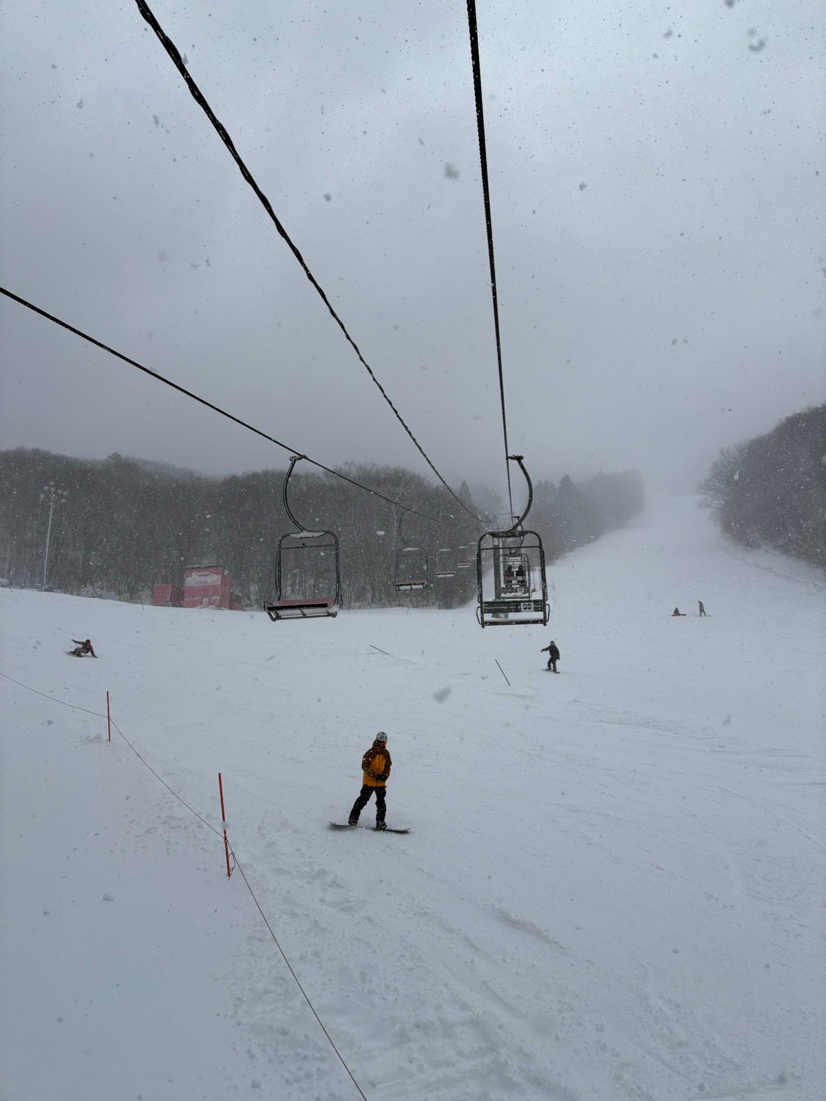 ユートピアサイオト