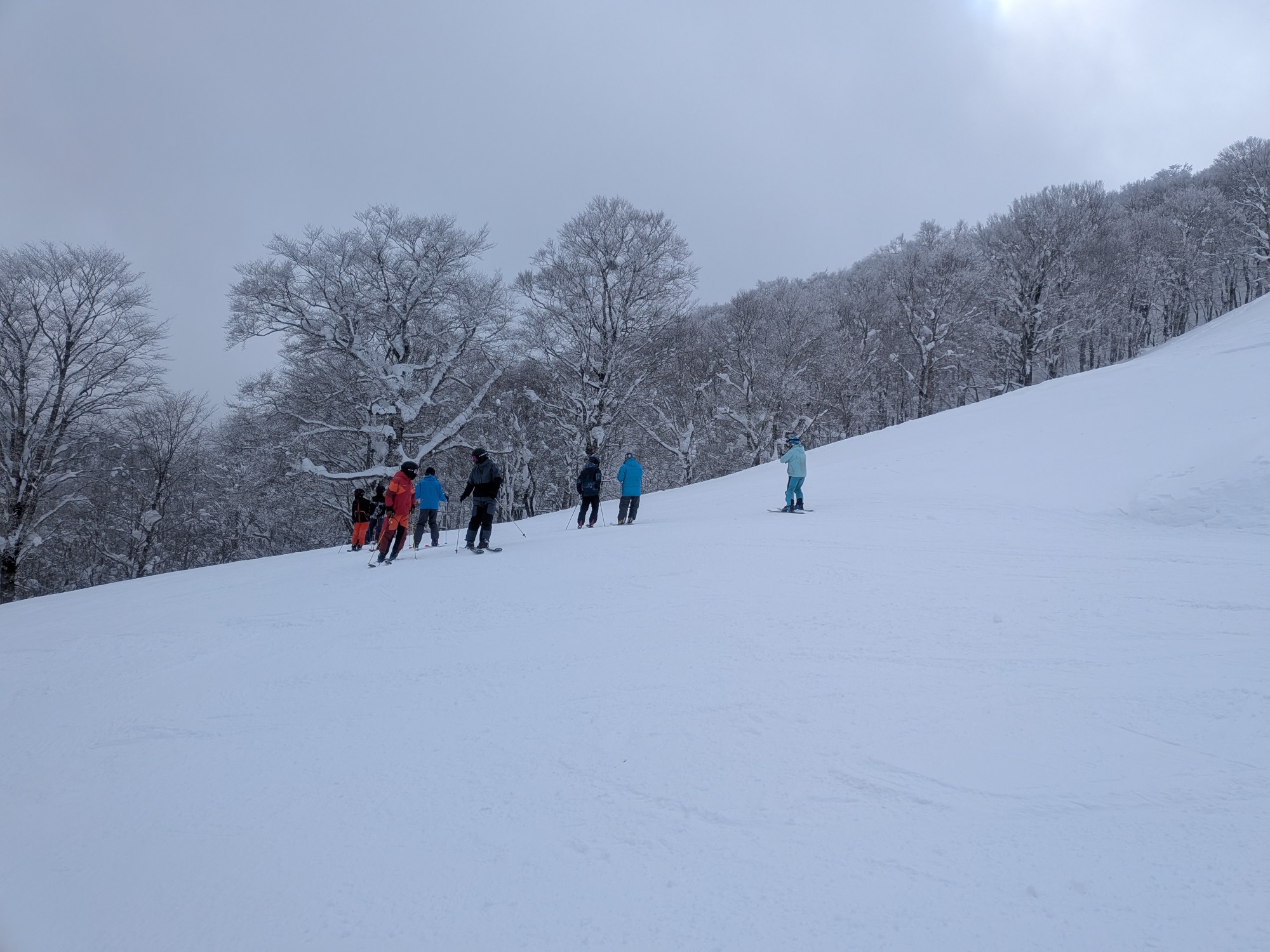 星野リゾート ネコマ マウンテン（北エリア）