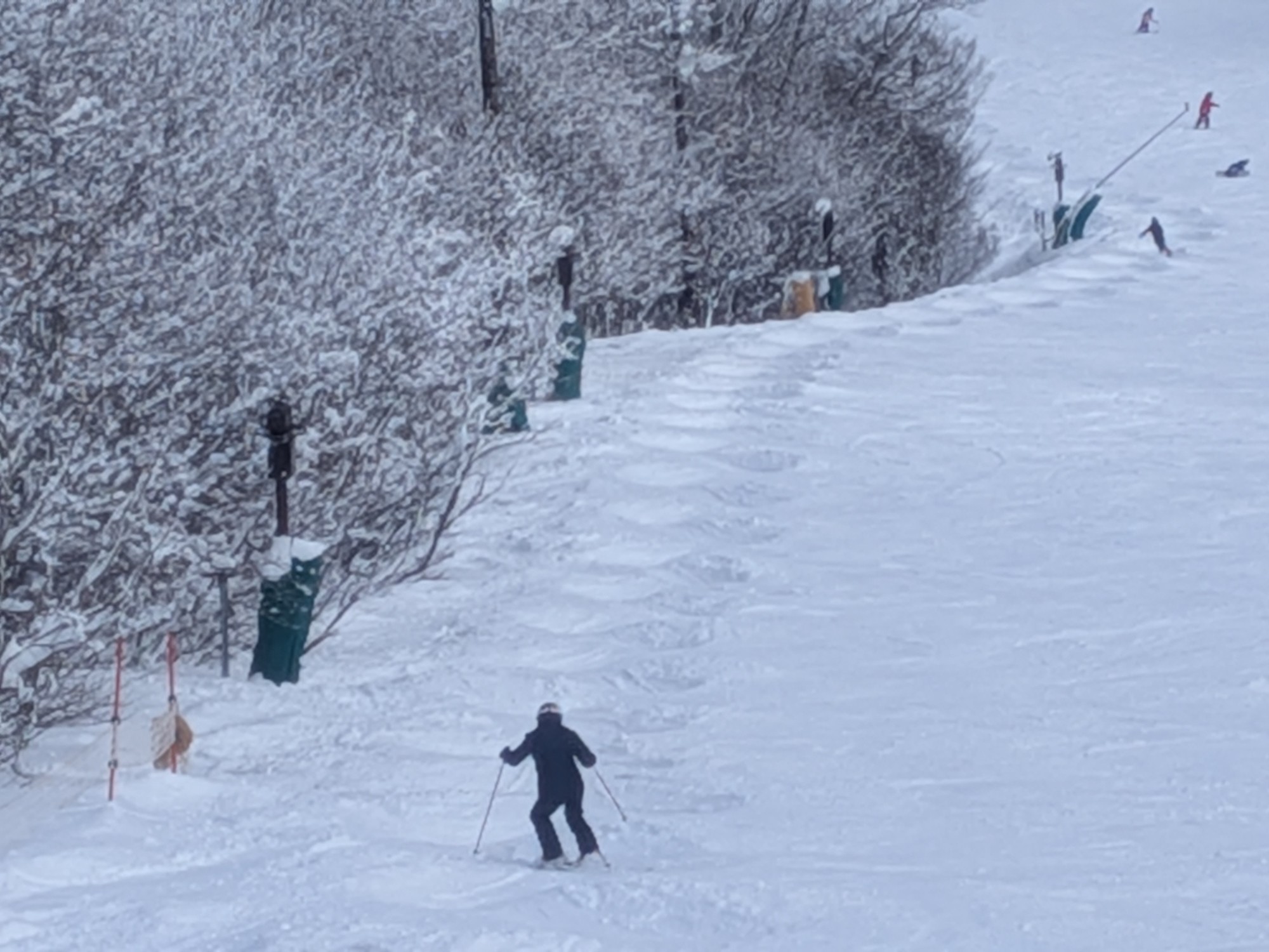 星野リゾート ネコマ マウンテン（北エリア）