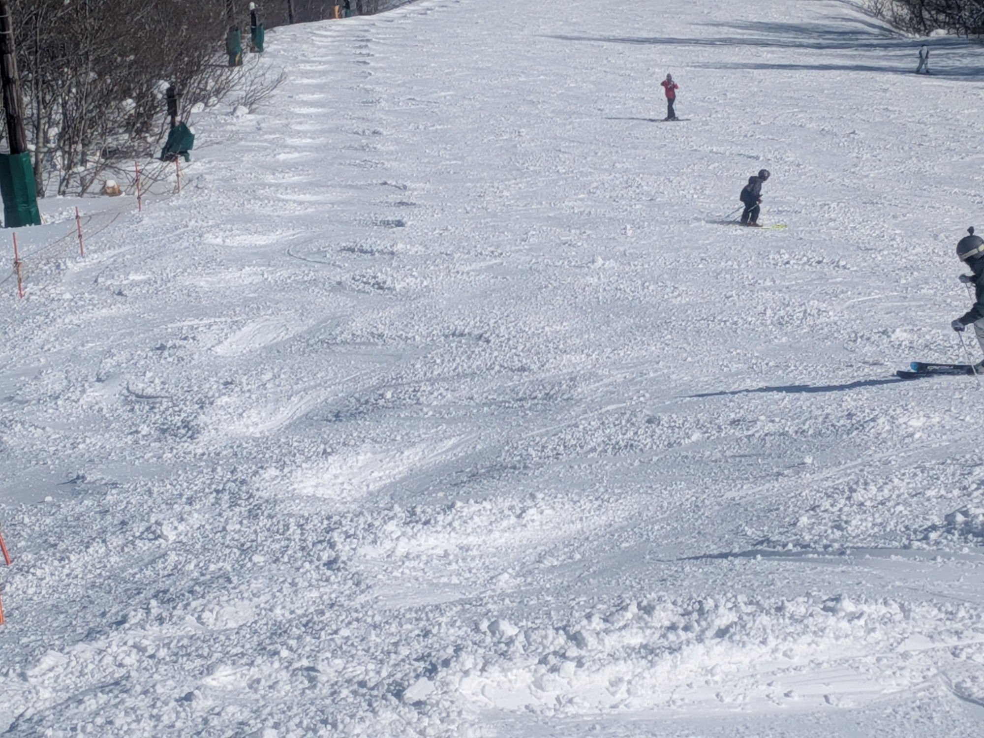 星野リゾート ネコマ マウンテン（北エリア）