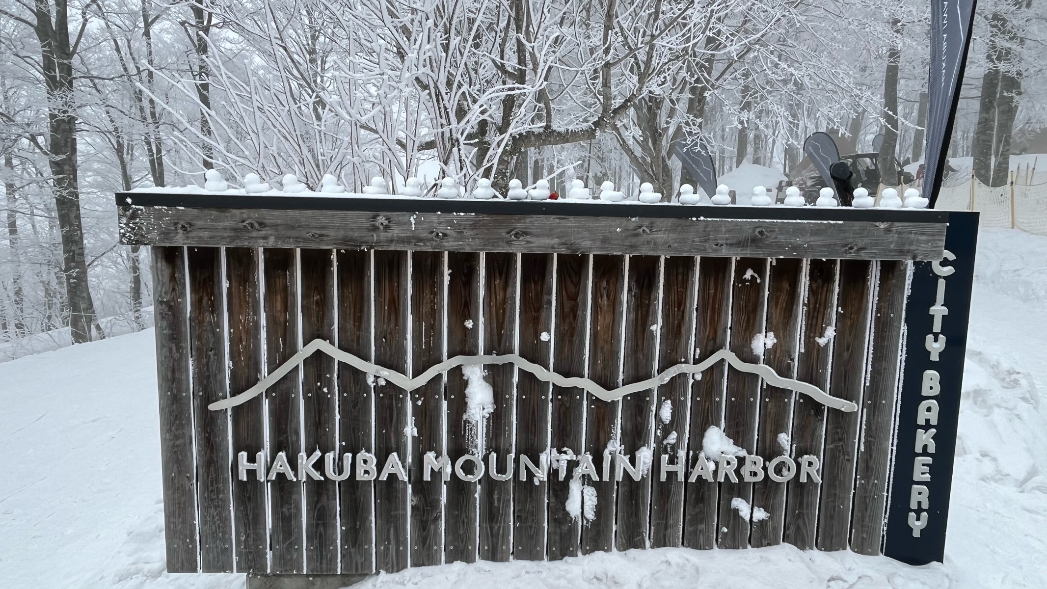 白馬岩岳スノーフィールド