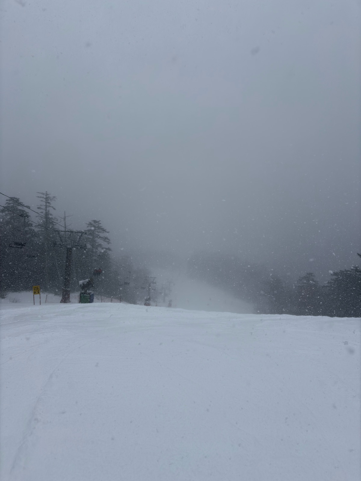 開田高原マイアスキー場