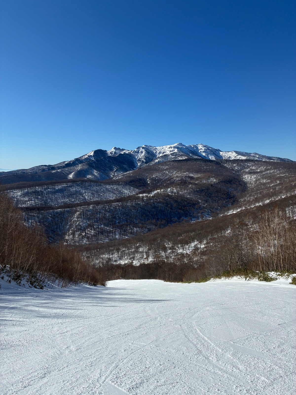 ホワイトワールド尾瀬岩鞍