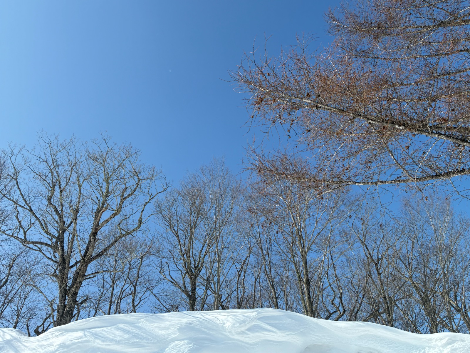 ホワイトワールド尾瀬岩鞍