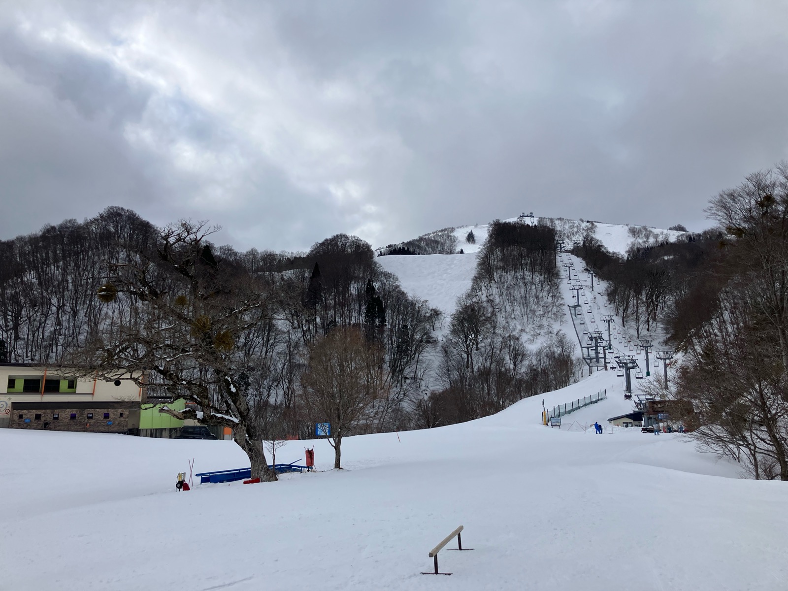 ハチ北高原スキー場（兵庫）｜混雑・雪質・口コミがわかるスキー場