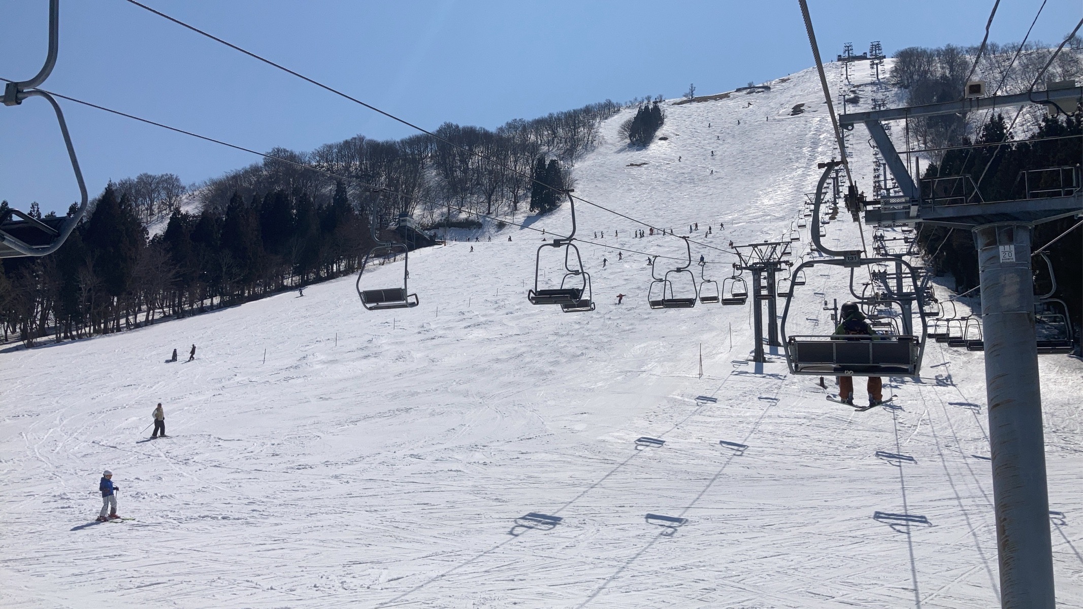 ハチ北高原スキー場（兵庫）｜混雑・雪質・口コミがわかるスキー場