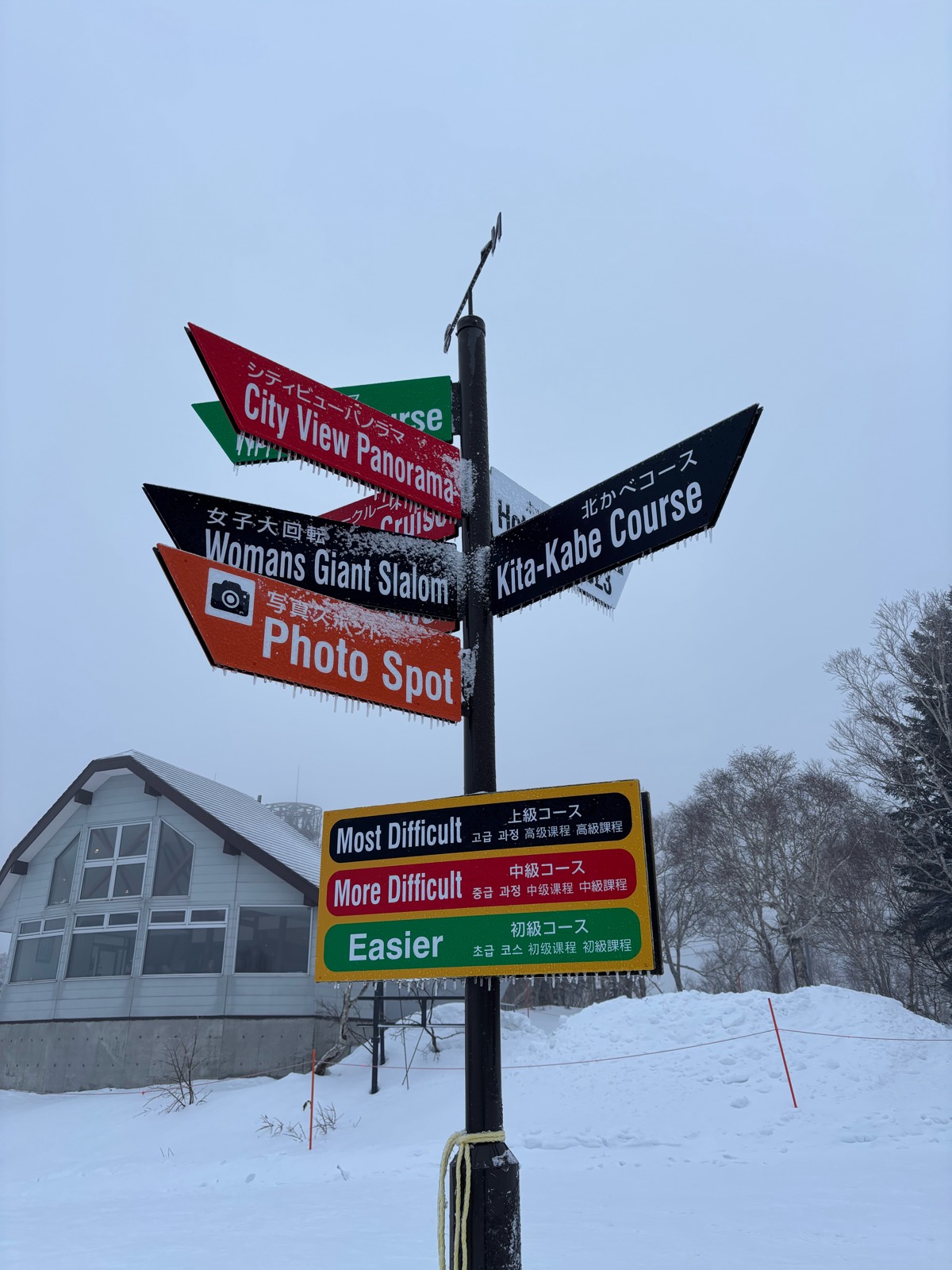 サッポロテイネ