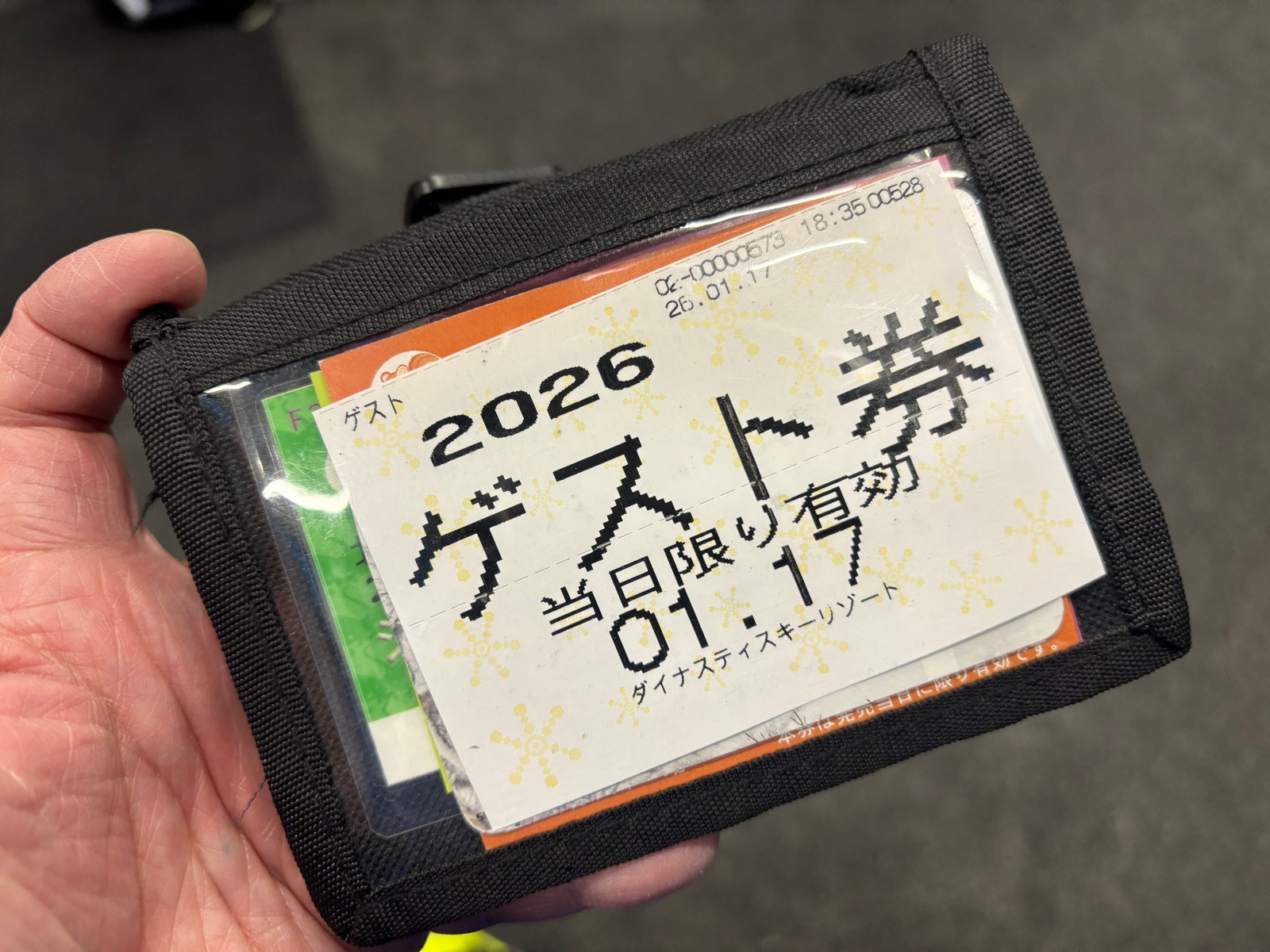 ダイナスティスキーリゾート