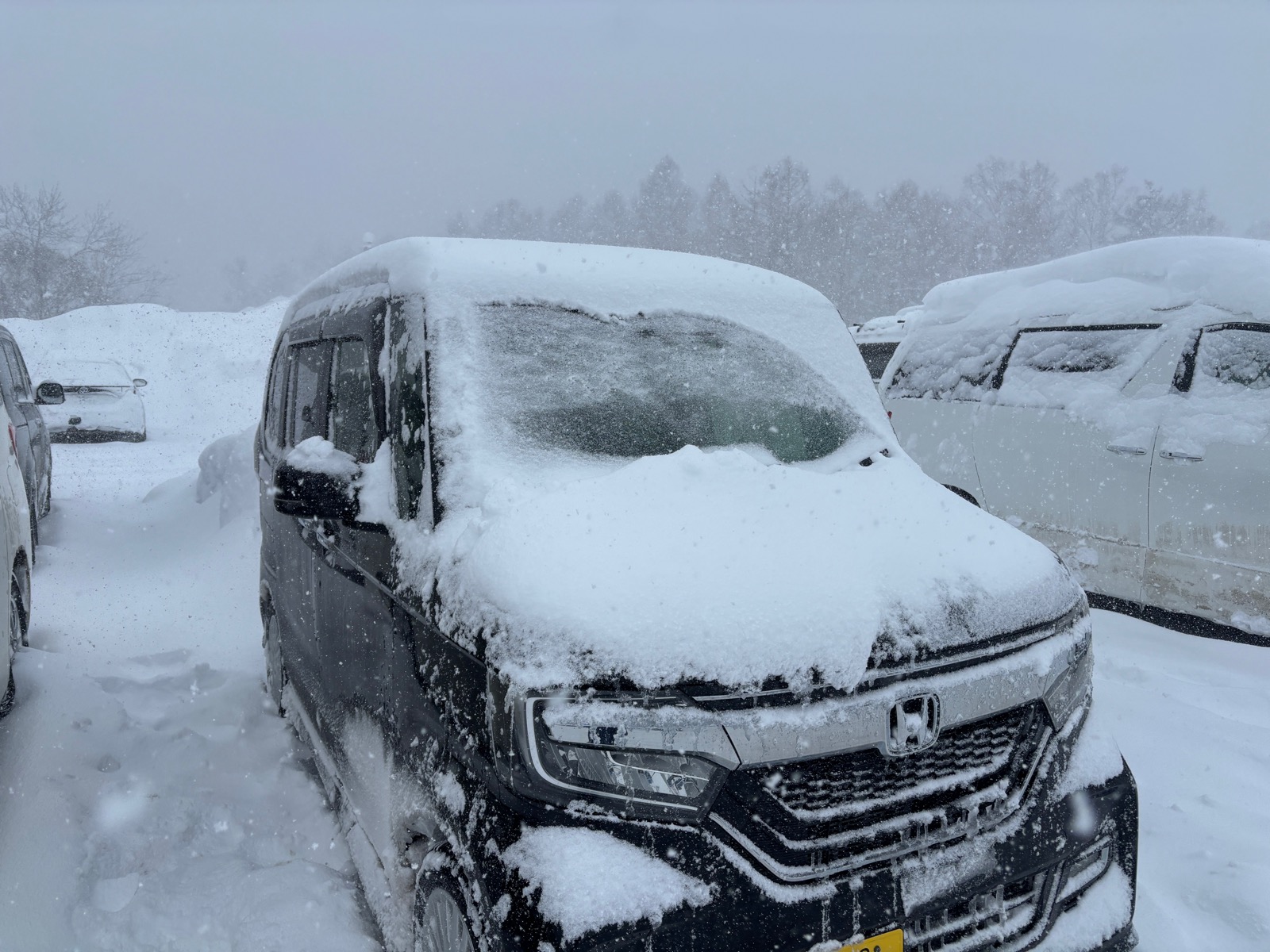 ニセコモイワスキーリゾート