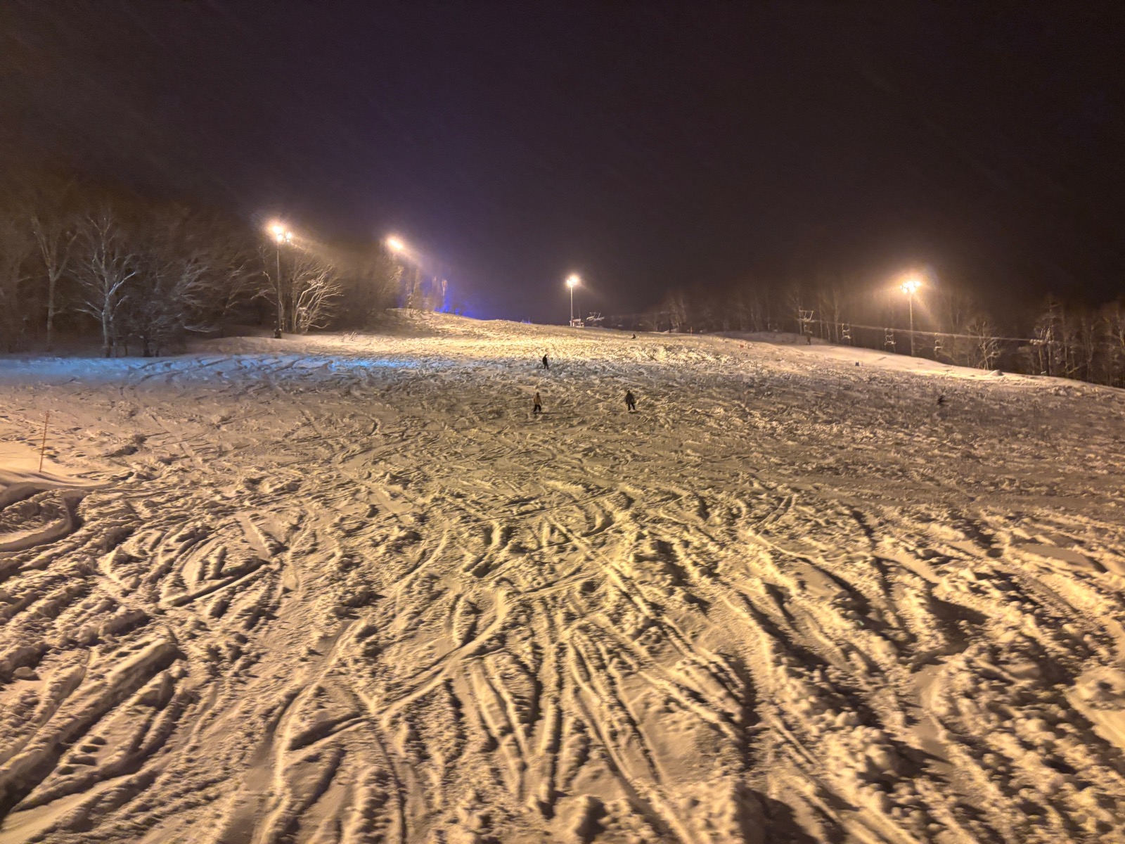 サッポロテイネ