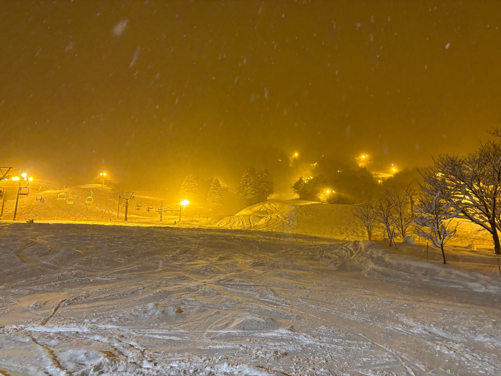 さっぽろばんけい