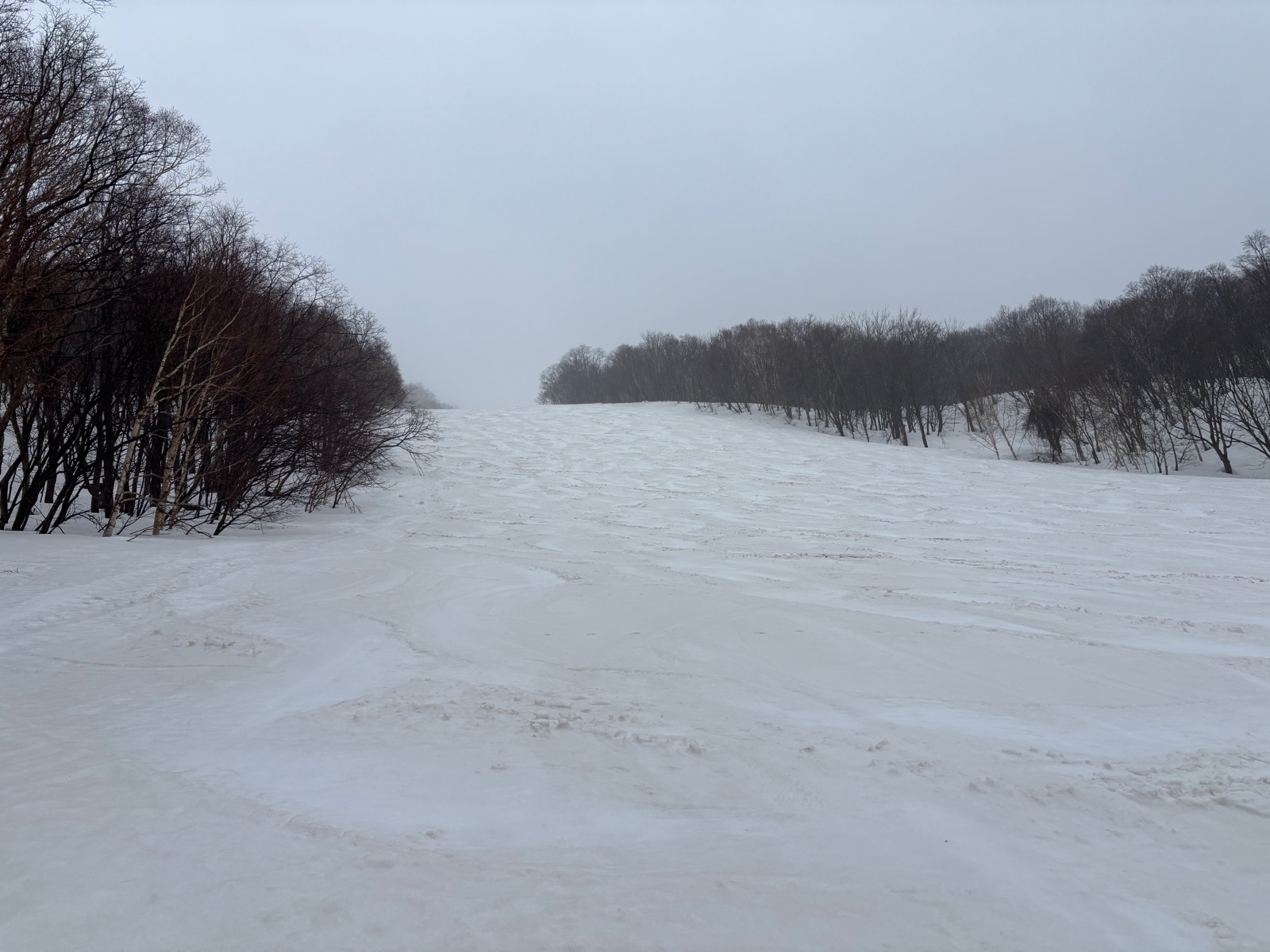 ニセコいわない国際