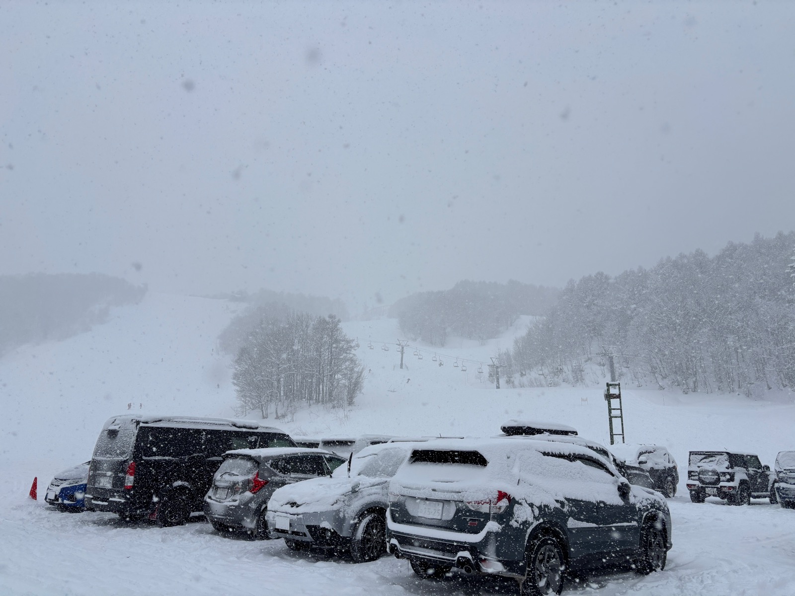 サッポロテイネ