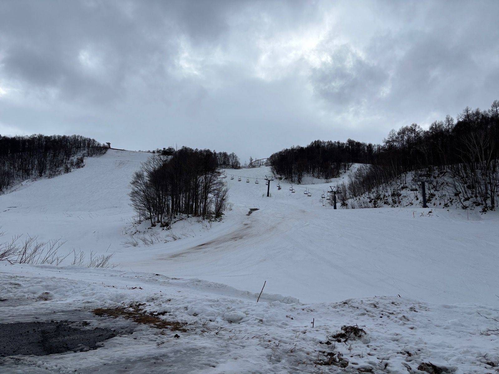 サッポロテイネ