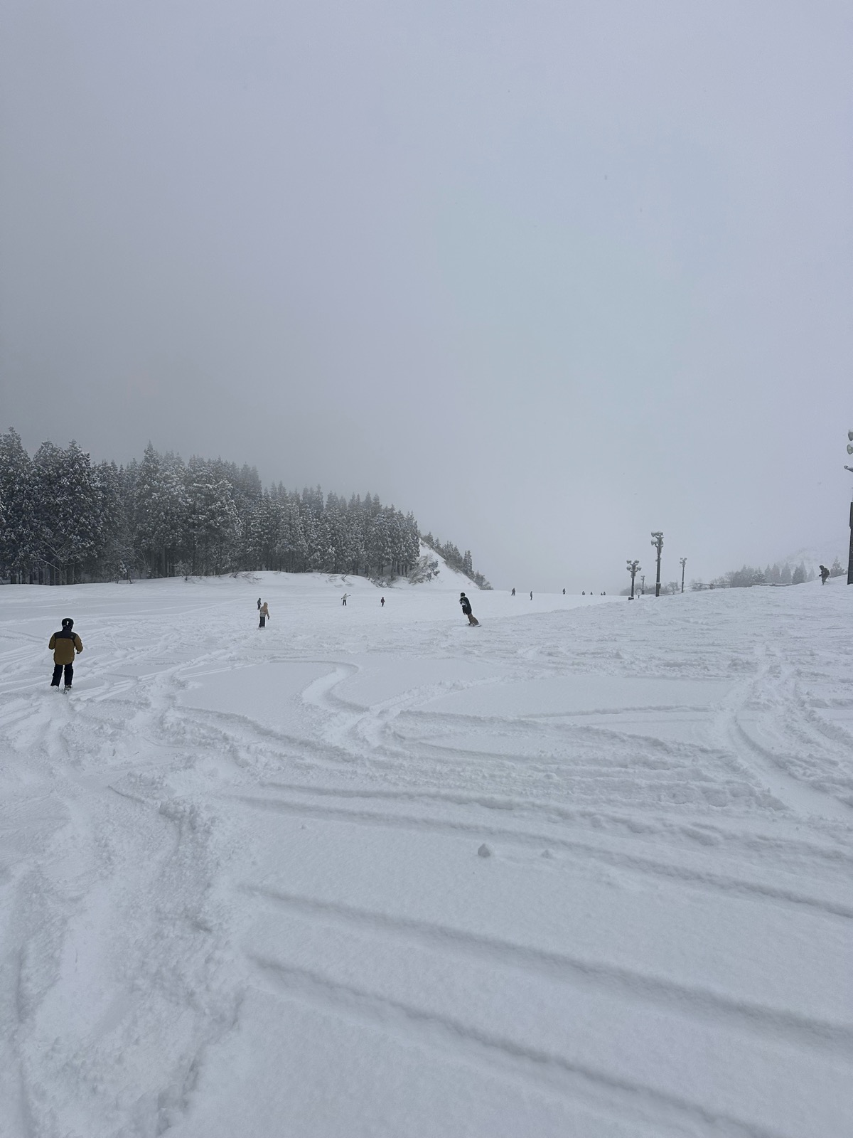 イオックスアローザ